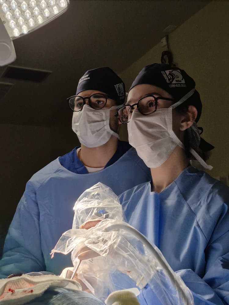 Laringologia - Saúde vocal